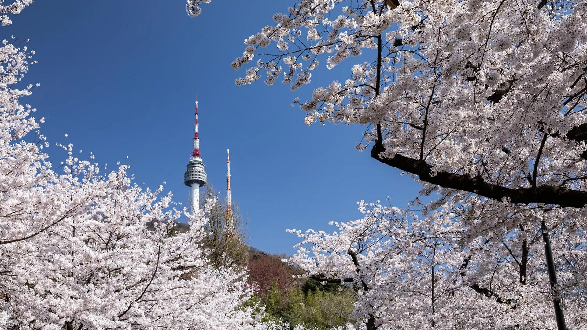 Parkavenue Guesthouse Seul 3*,  Korea Południowa